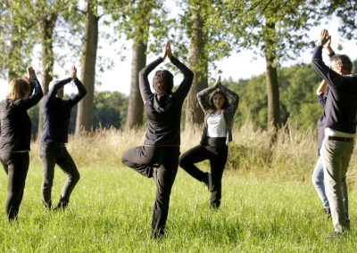Boom. Stevig staan. Yoga-oefening. In balans. Mindfulness, zelfcompassie, stilte wandelingen, stilte dag. retraite. meditatie